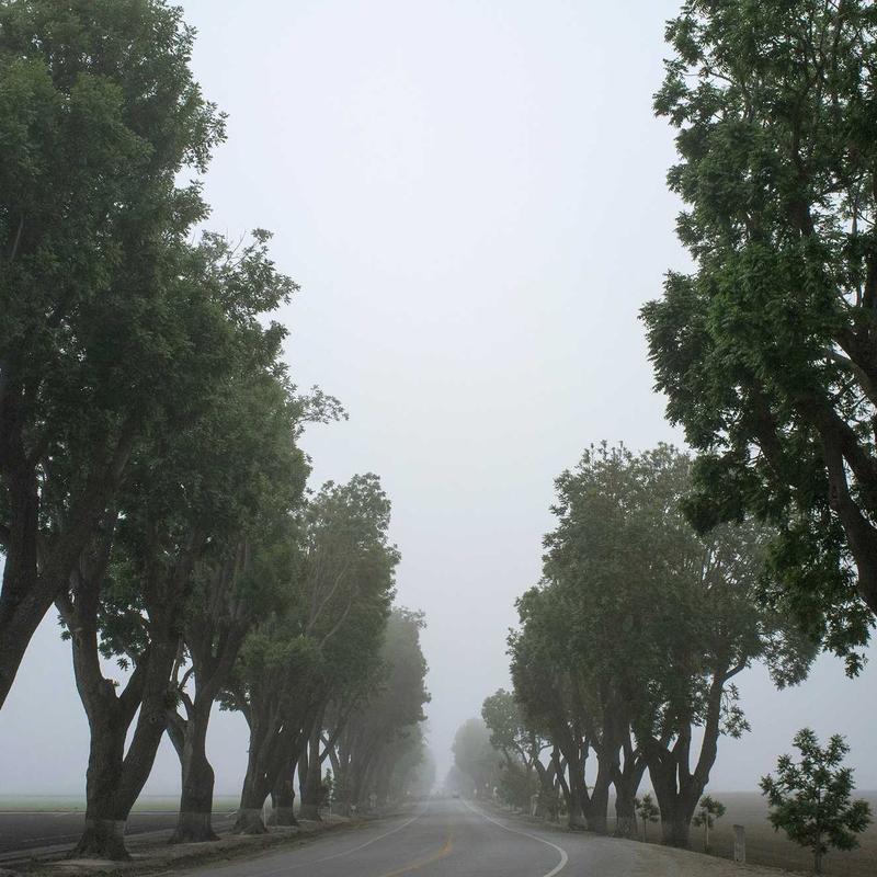 Kadın Dayanışması